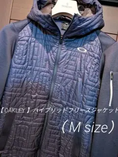 Item thumbnail for item c0486e76-b1eb-47ae-8f67-d63b22689f9b