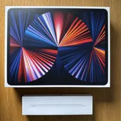 iPad Pro 12.9インチ　M1モデル　第五世代　Apple pencil