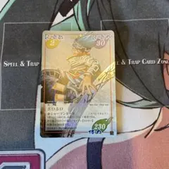 シャーマンキング 超占事略決 カード ホロホロ コロロ スペシャルレアセット シャーマンキング 超占事略決 カード ホロホロ コロロ スペシャルレア