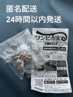 ワンピの実 第二十四海戦 ニカルフィ