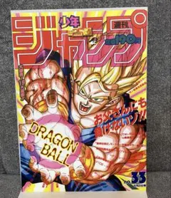 ドラゴンボール ポスターコレクション 1993年　WJ33号　40周年 鳥山明