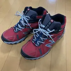 Item thumbnail for item 3769cc9b-458a-483c-80ae-23bf94517ec5