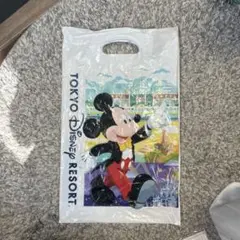 東京ディズニーリゾート ショップ袋