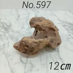植物【597】最終価格