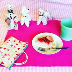 ＊P様専用ページでございます＊