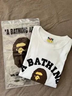 A bathing ape college tee