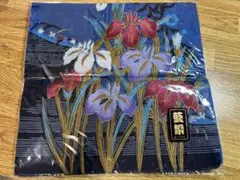 Item thumbnail for item e6372442-f8aa-4d85-a826-688e75064ede