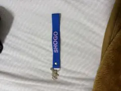 Item thumbnail for item 28768ea0-70be-4056-8a42-61bc184c32b3