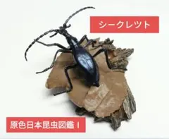 【内袋未開封品】 原色図鑑シリーズ15 原色日本昆虫図鑑I ／　マイマイカブリのサムネイル