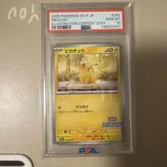 ピカチュウ イラストレーションコンテスト 2024 PSA10