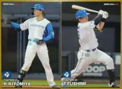 Item thumbnail for item 210235b6-8778-40cd-acf9-c6ed31d21963