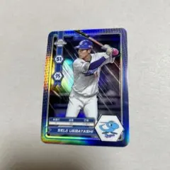 Item thumbnail for item 0fd4c041-6fd7-4e44-b19f-d8142e64ba16