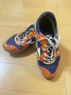 Mizuno ビルドトレーナー　25.0cm