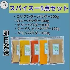 カレーパウダースパイス5点セット 各100g カレー作りに最適のサムネイル