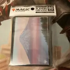 2025年最新】mtg 富士山の人気アイテム - メルカリ