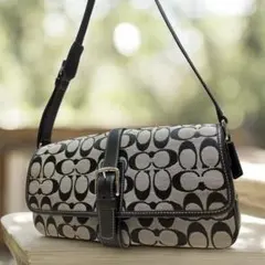 COACH y2k OneShoulderbag Archive 6040
