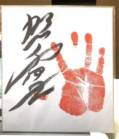 照ノ富士直筆サイン入り本&相撲土産セット 2025年最新】相撲 サイン 照ノ富士の人気アイテム - メルカリ