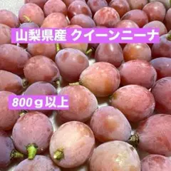 ⑥【訳あり予約】長野県産セブン約2kg【メルカリ便】シャイン
