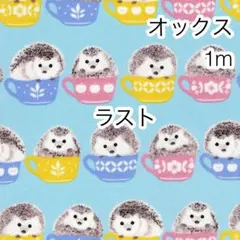 ラスト 1m ハリネズミ ブルー オックス