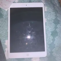 Apple iPad A1475 ホワイト系　本体　　ジャンク品　訳あり