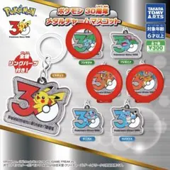 ポケモン　メタルチャームマスコット　30周年