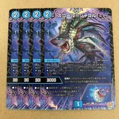 スコールシャコル