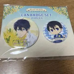 Free! birthday バースデー 缶バッジセット 七瀬遙 2025年最新】七瀬遙 バースデー 缶バッジの人気アイテム - メルカリ