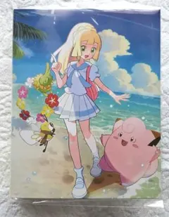 2025年最新】リーリエ コレクションファイルセットの人気