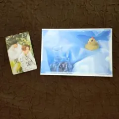 2025年最新】美しい彼 ポストカードの人気アイテム - メルカリ