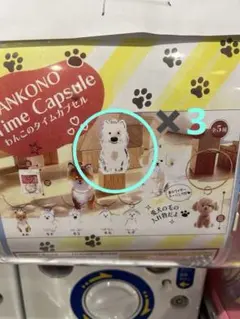 わんこのタイムカプセル モコ　ウエスティ バラ売り可