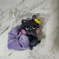 新品】RIIZE ウォンビン トニャンドク シュシュ - メルカリ