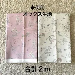 オックス生地　綿　草花　英字ボタニカル　ハーバリウム花柄