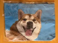 犬 トートバッグ 犬猫サロンぷらす