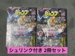 雑誌 Vジャンプ2024年4月特大号(2024.02.21発売) 未開封付録付き