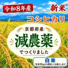 令和8年産 新米 京都府産 コシヒカリ 白米 玄米20kgから精米 減農薬 直送 令和8年産 新米 京都府産 コシヒカリ 白米 玄米20kgから精米 減農薬