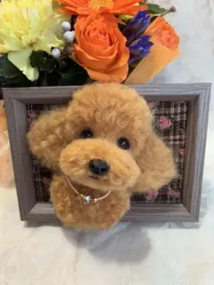 2025年最新】プロフ必読様専用の人気アイテム - メルカリ