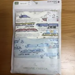 Item thumbnail for item 69abc492-0500-4248-be7e-dbc8fb10b83f