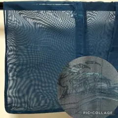 b745 正絹　夏用　紋紗　極美品　着物のサムネイル