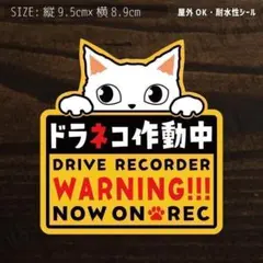 ドラネコ作動中①白猫　防水ステッカー　シール　猫　ドラレコ録画中 0066