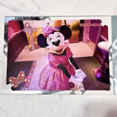 ディズニー ミニー ミニスタ 写真　スペフォ　スペシャルフォト台紙　春
