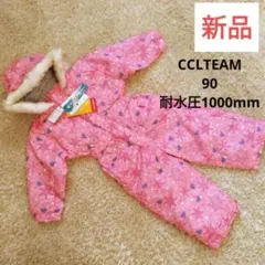 Item thumbnail for item a4be6423-8cfd-4513-9a93-621089b245ef