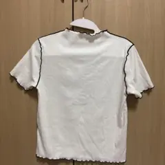 メロウ加工 リブニット 半袖 ホワイト
