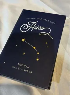 ブック型小物入れ　星座柄