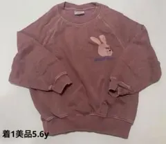 the campamento 茶色 トレーナー 5-6y