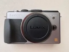 2026年最新】lumix gx1の人気アイテム - メルカリ