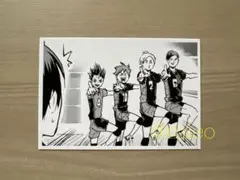 【新品】ハイキュー!! 10thクロニクル フォトカード 烏野高校 ⑤