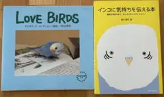 Item thumbnail for item e361916e-816c-434a-97aa-df83941c45d1