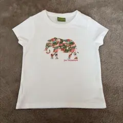 Item thumbnail for item cd27ce98-0d1c-4fec-83ac-57d3d6b30603