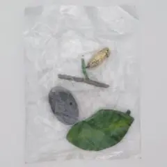 オオゴマダラ　サナギ　昆虫カプセルトイ　未開封