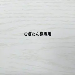 むぎたん様専用　羊毛フェルト　犬　ミニチュアダックスフンド　ハンドメイド